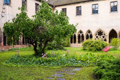 Private Guided Visit At Unterlinden Museum Followed By Non-Alcoholic Wine Tastings (Colmar, France)
