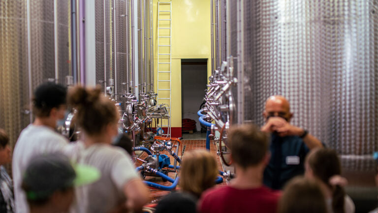 Meet the Makers of RIMUSS & STRADA (Switzerland)