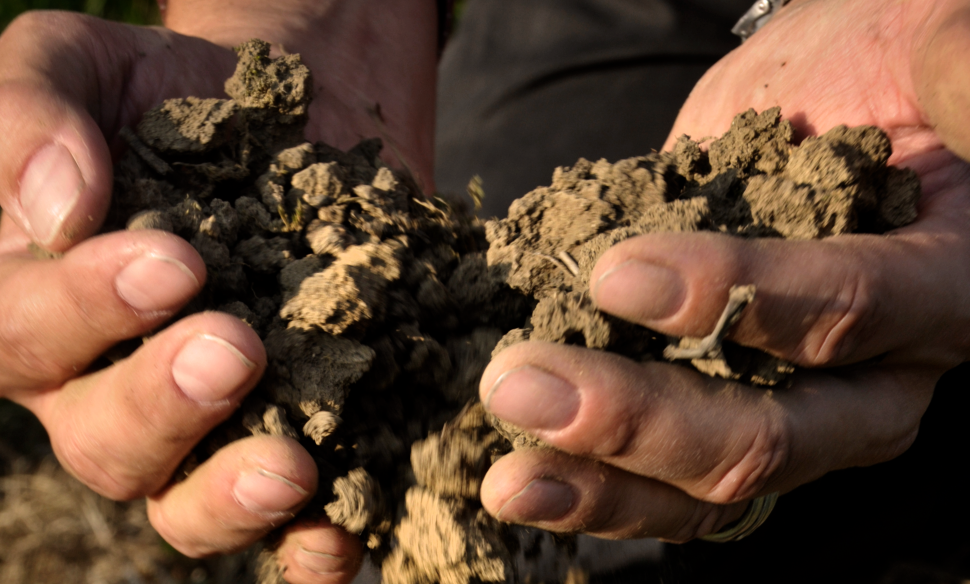 Meet the Makers of RIMUSS & STRADA (Switzerland)