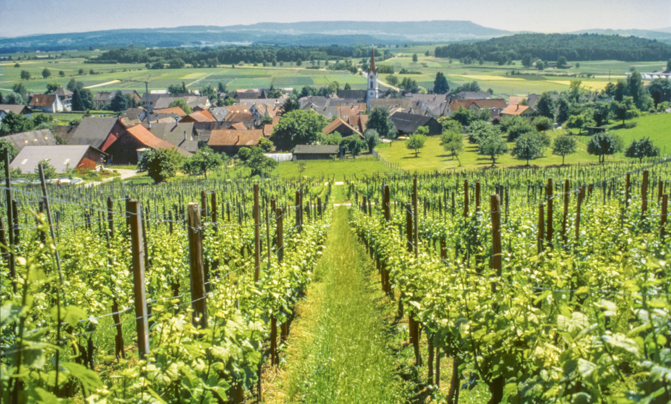 Meet the Makers of RIMUSS & STRADA (Switzerland)