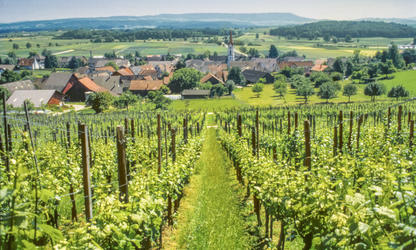 Meet the Makers of RIMUSS & STRADA (Switzerland)