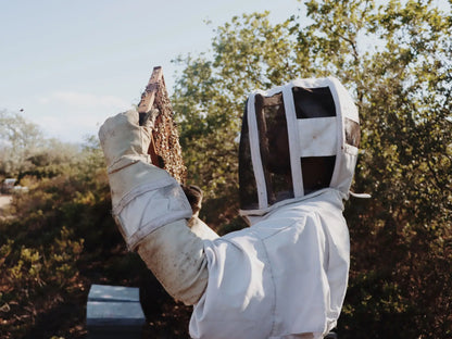 Visit to an Apiary and Honey Tasting led by the Founder of Le Rucher de Prats d'Amont - Summer 2027 (Egat, France)