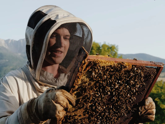 Visit to an Apiary and Honey Tasting led by the Founder of Le Rucher de Prats d'Amont - Summer 2027 (Egat, France)