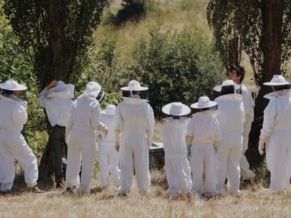 Visit to an Apiary and Honey Tasting led by the Founder of Le Rucher de Prats d'Amont - Summer 2027 (Egat, France)
