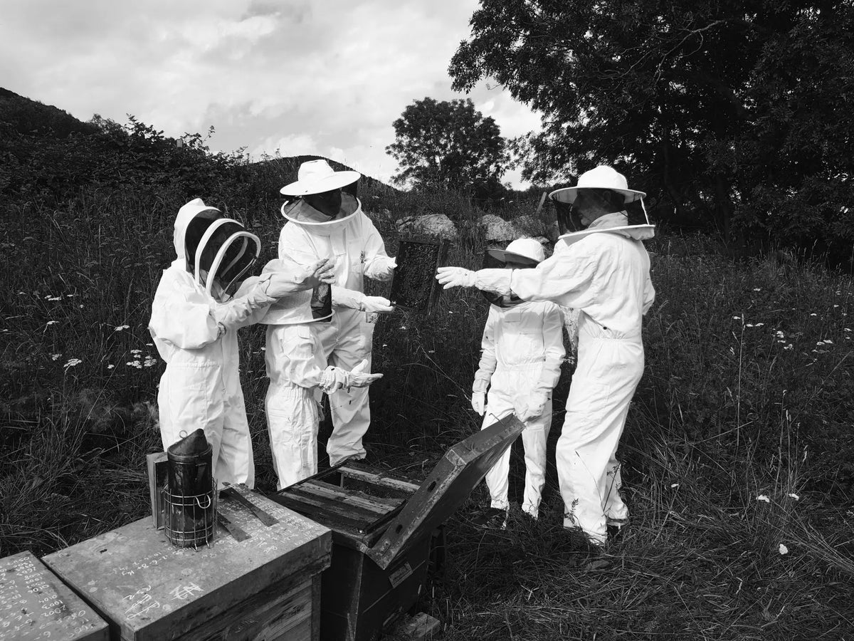 Visit to an Apiary and Honey Tasting led by the Founder of Le Rucher de Prats d'Amont - Summer 2027 (Egat, France)