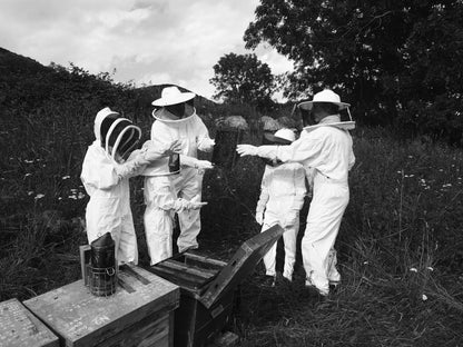 Visit to an Apiary and Honey Tasting led by the Founder of Le Rucher de Prats d'Amont - Summer 2027 (Egat, France)