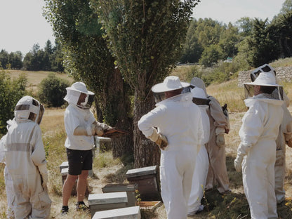 Visit to an Apiary and Honey Tasting led by the Founder of Le Rucher de Prats d'Amont - Summer 2027 (Egat, France)