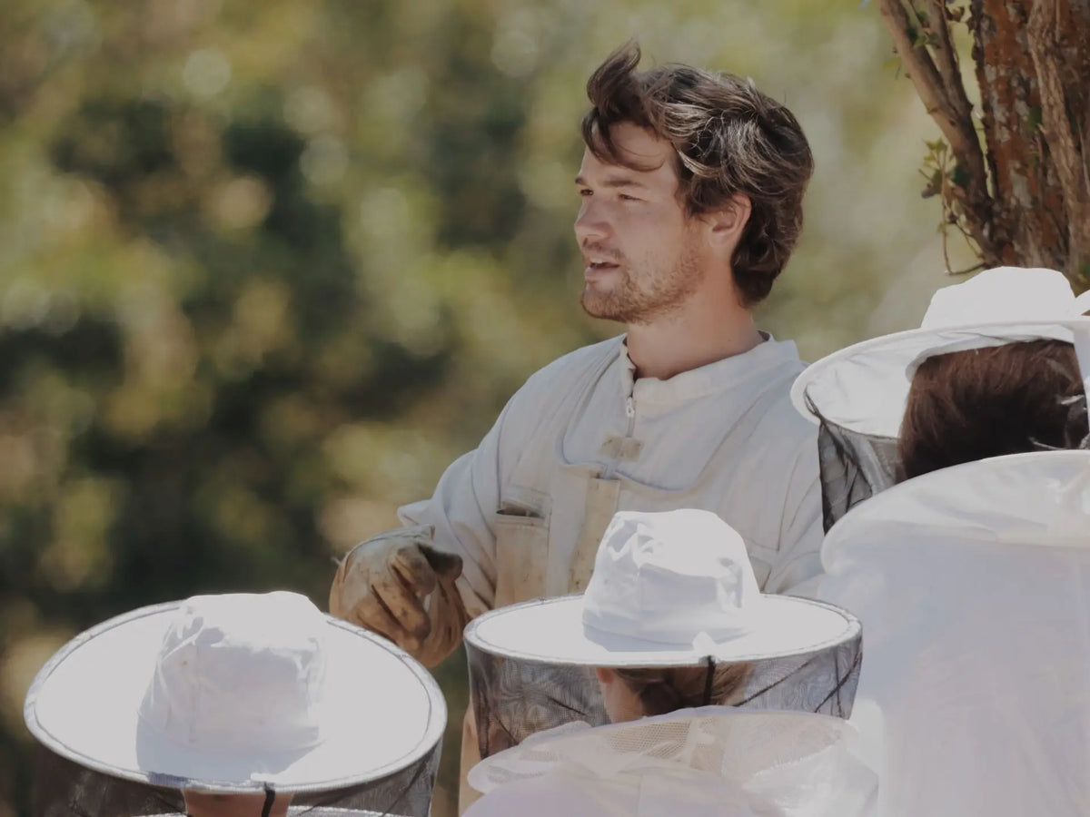 Visit to an Apiary and Honey Tasting led by the Founder of Le Rucher de Prats d'Amont - Summer 2027 (Egat, France)
