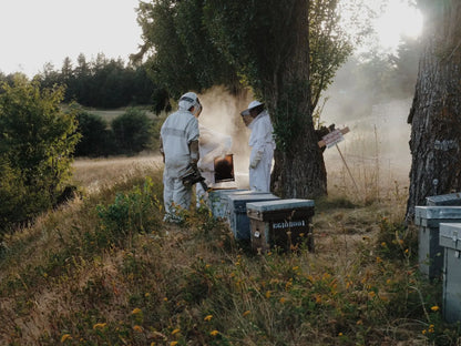 Visit to an Apiary and Honey Tasting led by the Founder of Le Rucher de Prats d'Amont - Summer 2027 (Egat, France)