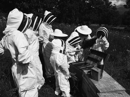 Visit to an Apiary and Honey Tasting led by the Founder of Le Rucher de Prats d'Amont - Summer 2027 (Egat, France)