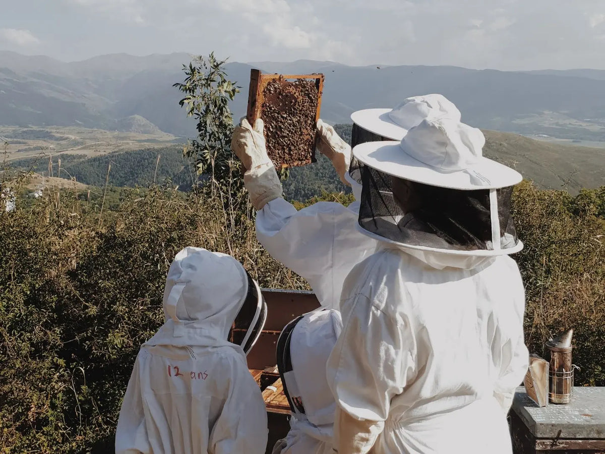 Visit to an Apiary and Honey Tasting led by the Founder of Le Rucher de Prats d'Amont - Summer 2027 (Egat, France)