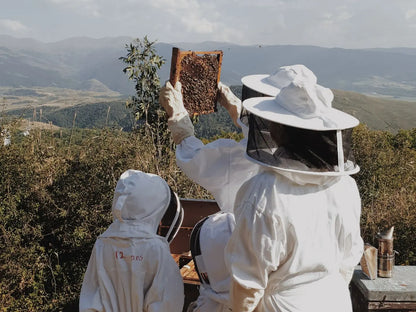 Visit to an Apiary and Honey Tasting led by the Founder of Le Rucher de Prats d'Amont - Summer 2027 (Egat, France)