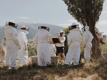 Visit to an Apiary and Honey Tasting led by the Founder of Le Rucher de Prats d'Amont - Summer 2027 (Egat, France)
