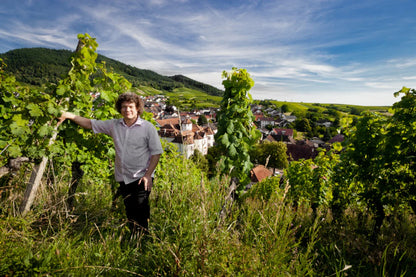 Gift a Non-Alcoholic Wine Tour