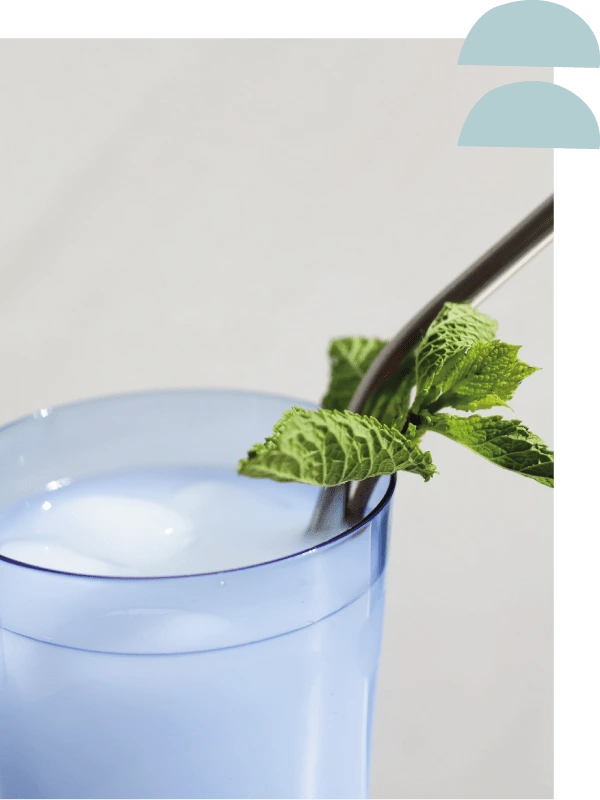 Non-Alcoholic Cocktail Workshop at SOIF (Rennes, France)