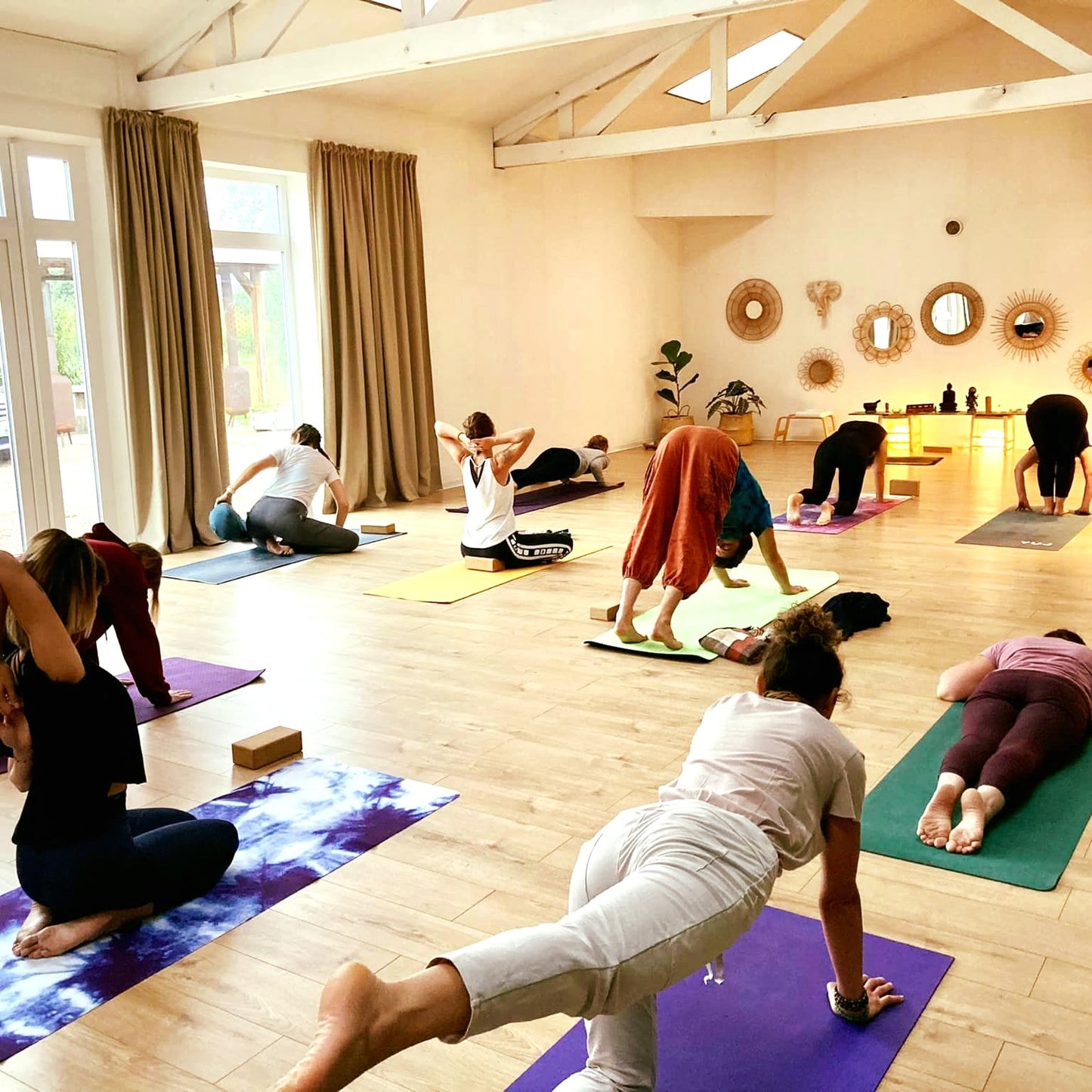 Discover Yoga With Mylène Maillard And Taste The Best Swiss Alcohol-Free Wines (Hésingue, France)