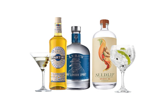 Abonnement au Blue Dolphin Club – Cocktails sans alcool