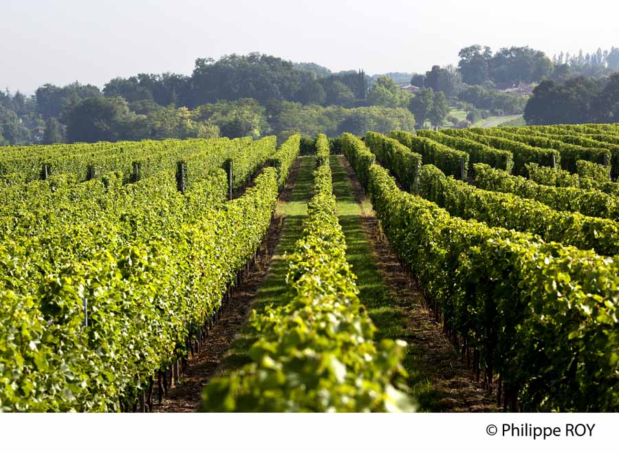 Meet the Makers of ZERO DEGRE (France)