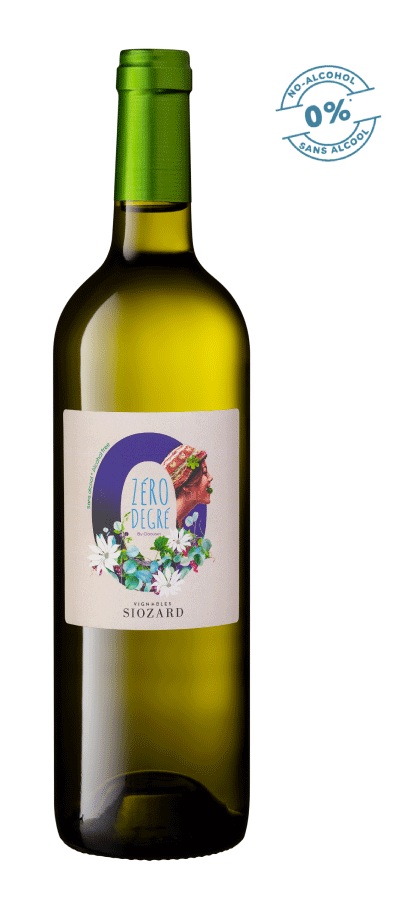 Meet the Makers of ZERO DEGRE (France)