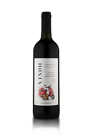 Meet the Maker of VINOH (Brazil)