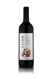 Meet the Maker of VINOH (Brazil)