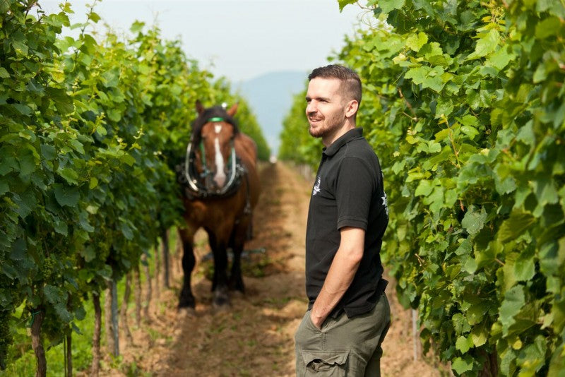 Meet the Makers of BERGDOLT-REIF & NETT (Germany)