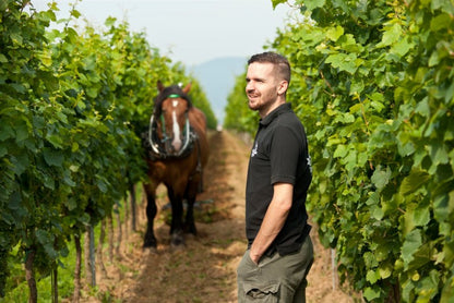 Meet the Makers of BERGDOLT-REIF & NETT (Germany)