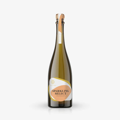 Meet the Makers of ZERONIMO (Austria)