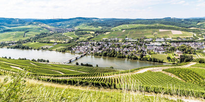 Germany & Austria Alcohol-Free Wine Tour by HOOKED TRAVEL