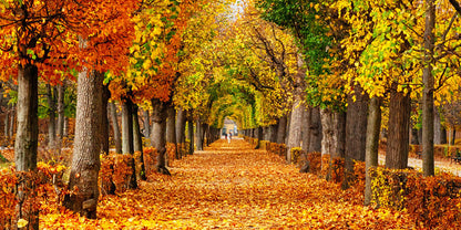 Germany & Austria Alcohol-Free Wine Tour by HOOKED TRAVEL